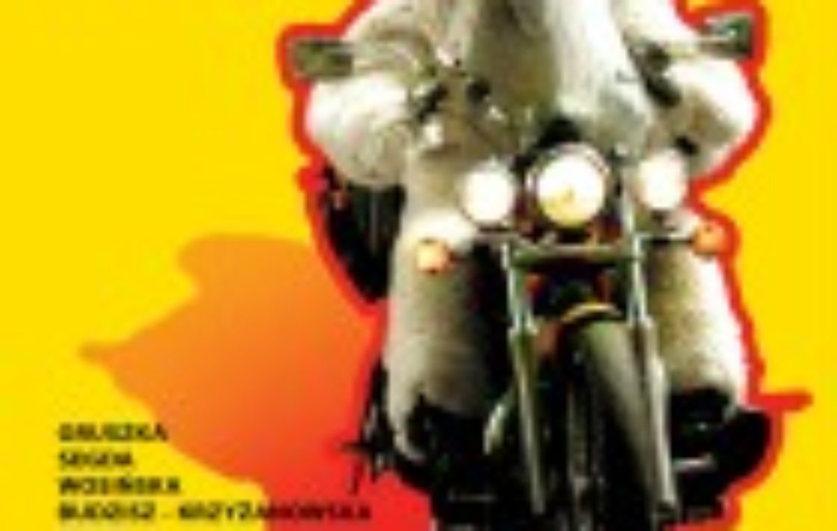 14 września 2016 – Szkolny Klub Filmowy