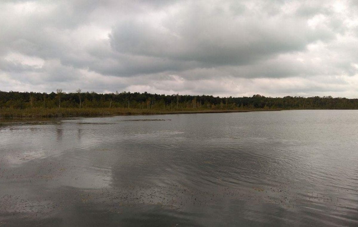 5 października 2016 – Poleski Park Narodowy