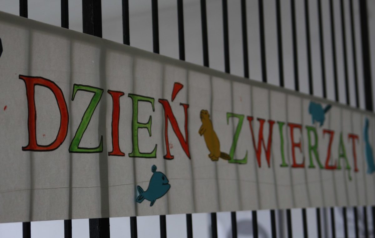 7 października 2016 – Światowy Dzień Zwierząt i Dzień św. Franciszka w naszej szkole