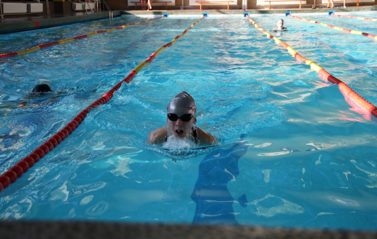 27 listopada 2016 – Zawody pływackie