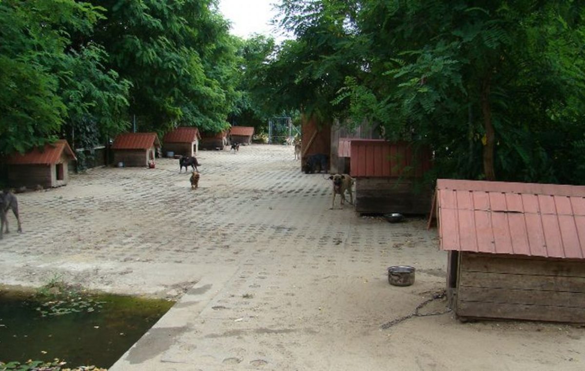 24 października 2017 – Dzień św. Franciszka