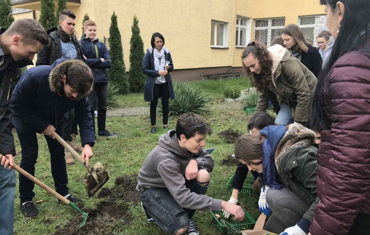 31 października 2017 – „Pola Nadziei”