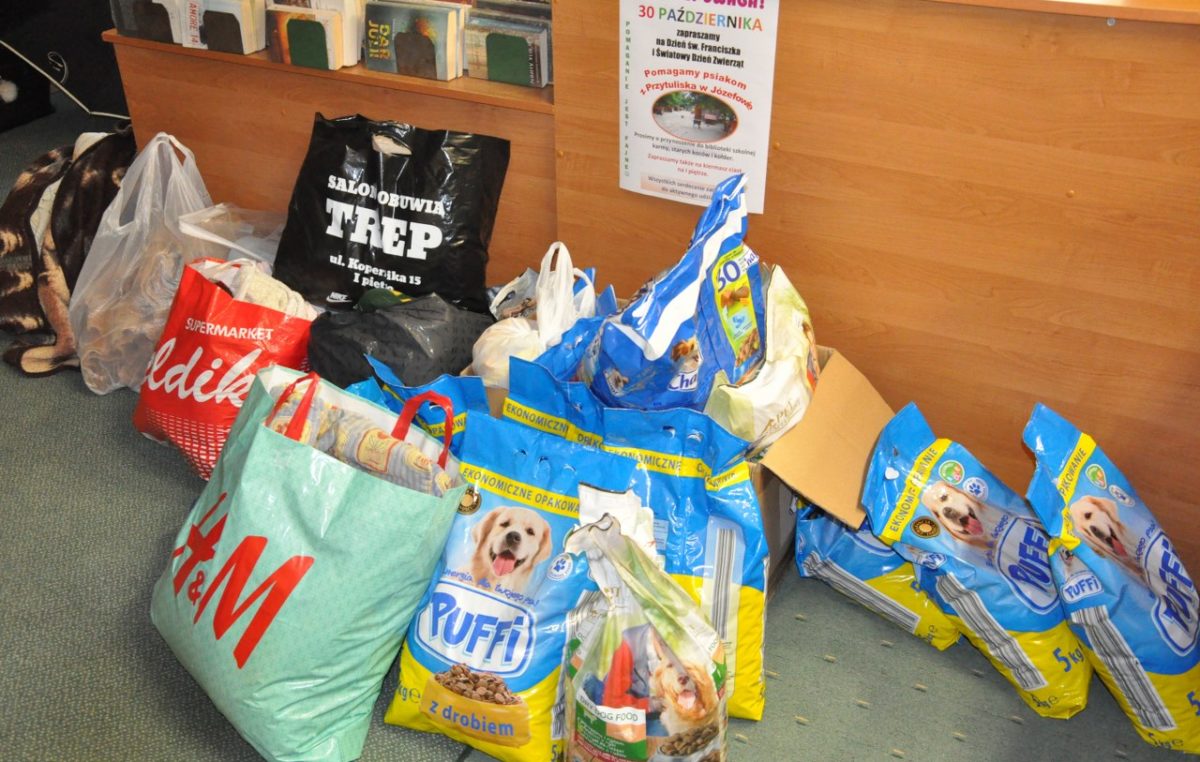 2 listopada 2017 – Pomagamy bezdomnym zwierzętom