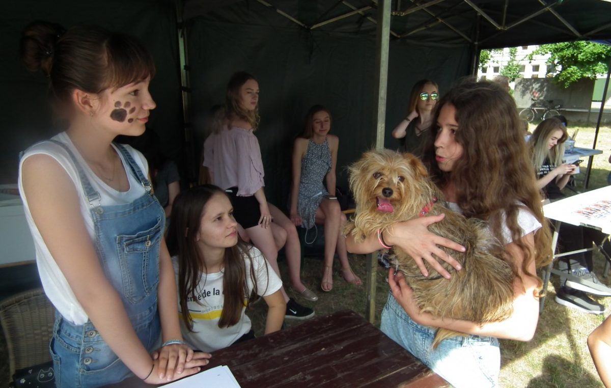 6 czerwca 2018 – „ONZ pomaga zwierzętom” na „Animal Party”