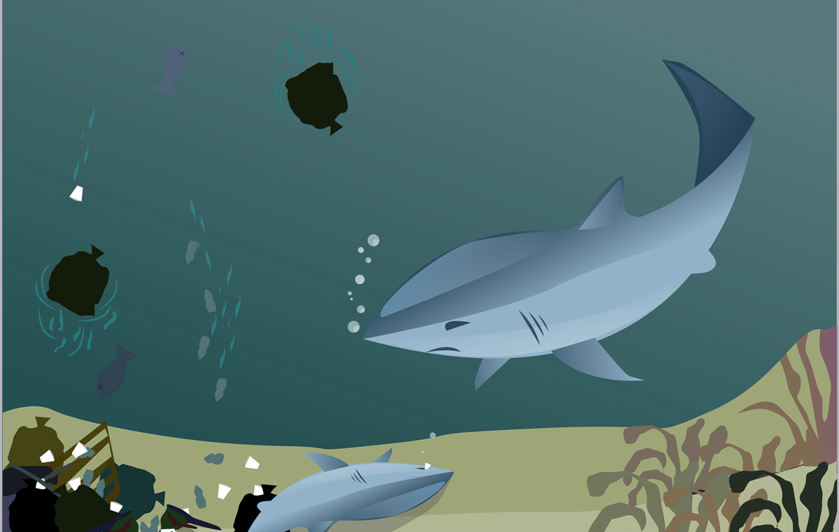 8 kwietnia 2021 – Ogólnopolski sukces naszych grafików