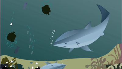 8 kwietnia 2021 – Ogólnopolski sukces naszych grafików