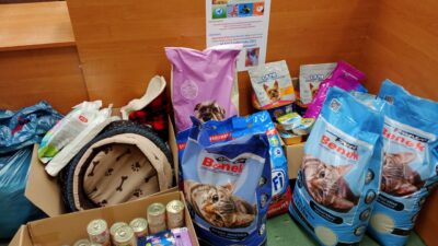 23 października 2021 – Dzień św. Franciszka i Światowy Dzień Zwierząt