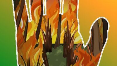 20 października 2021 – Sukces Amelii w konkursie „Stop pożarom lasów”