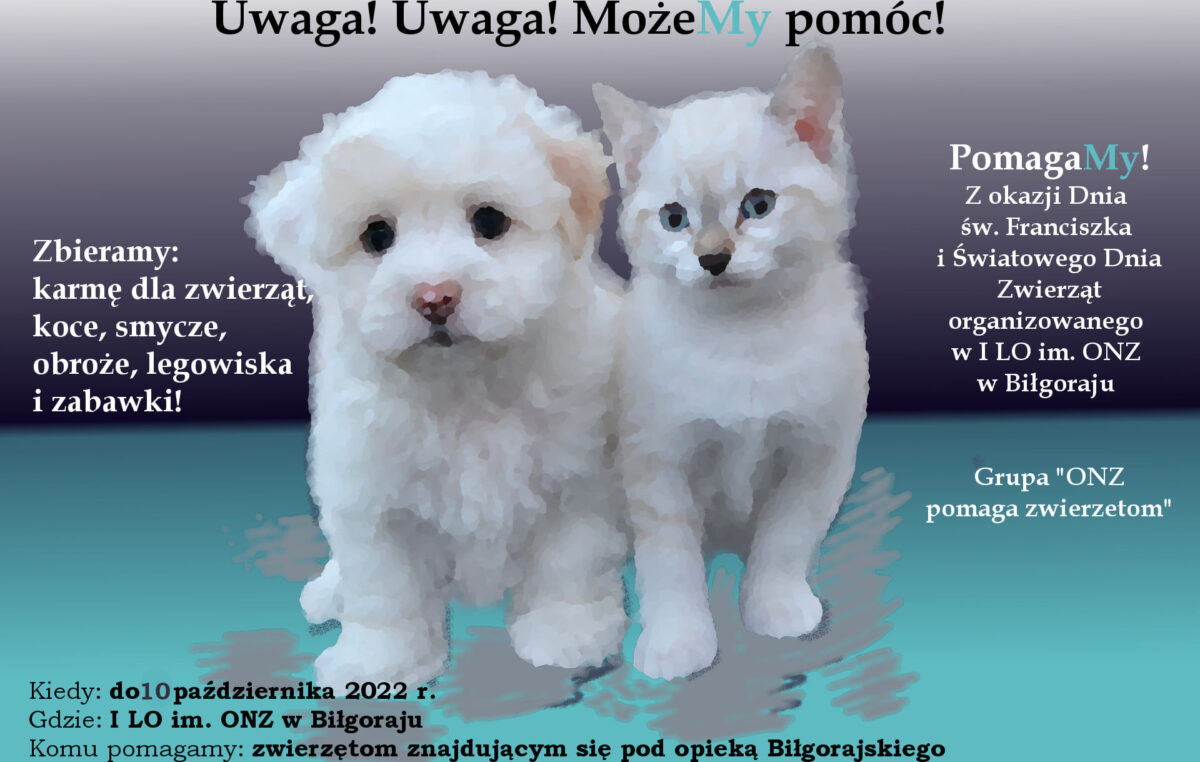 6 października 2022 – Razem dla bezdomnych zwierząt