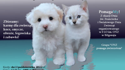 6 października 2022 – Razem dla bezdomnych zwierząt