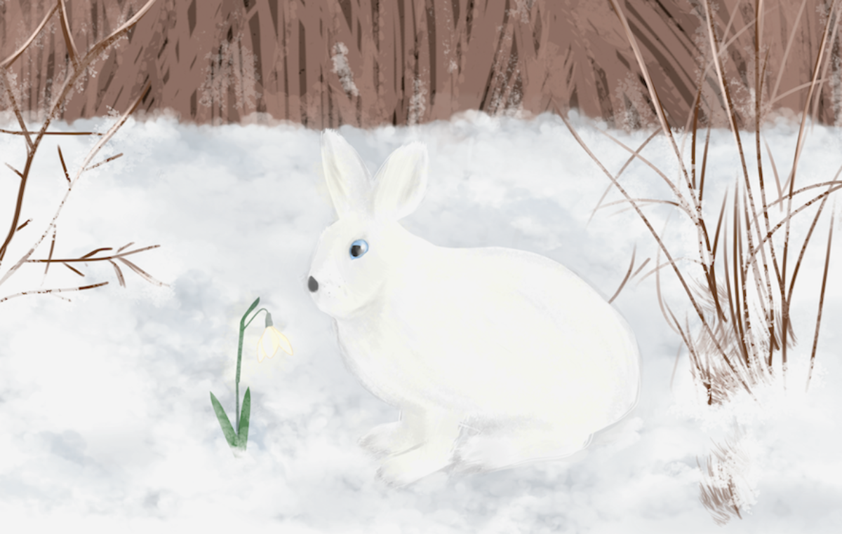 5 czerwca 2023 – Wyróżnienia w Ogólnopolskim Konkursie Grafiki Komputerowej