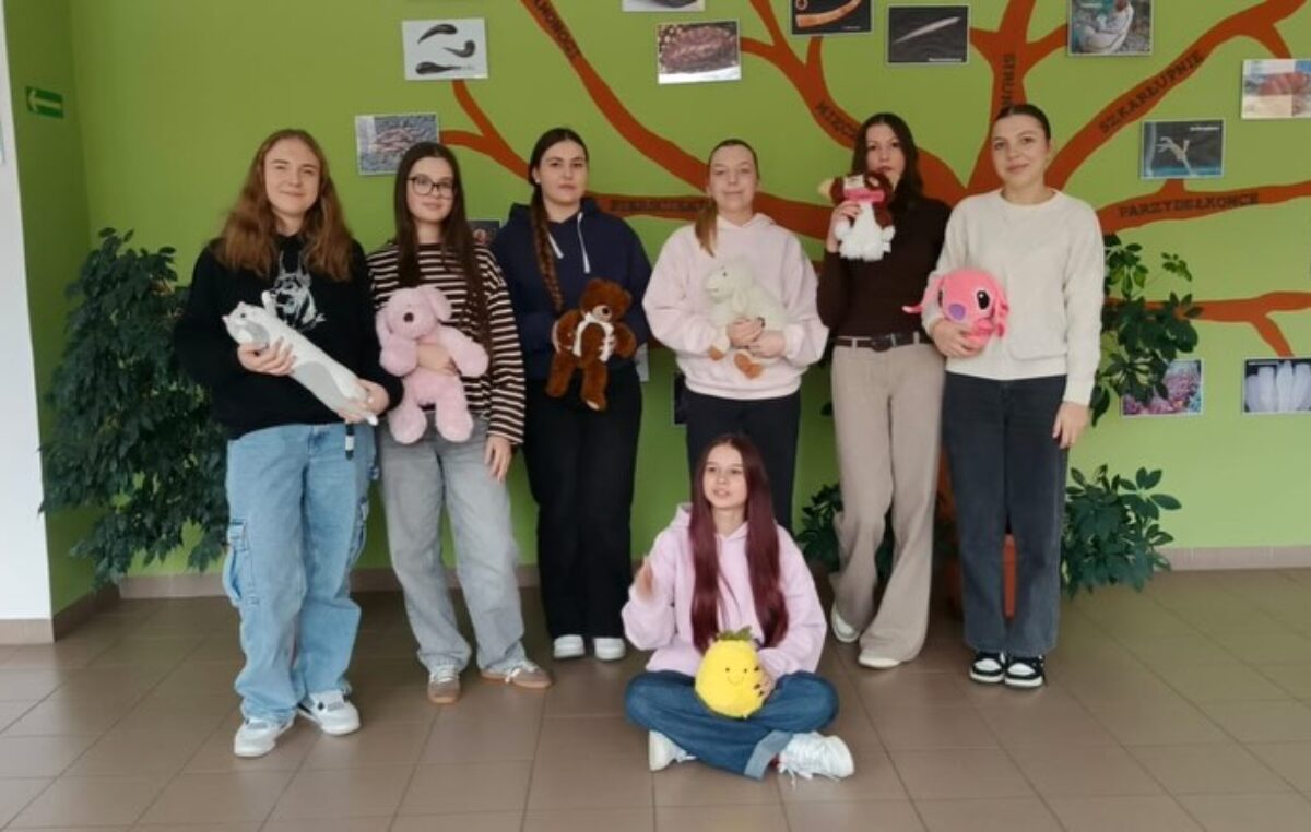 28 listopada 2025 – Dzień Pluszowego Misia