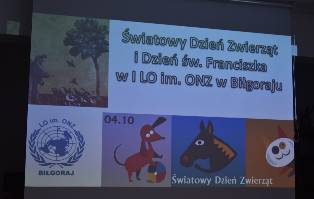 5 listopada 2025 – Październik z sercem dla zwierząt